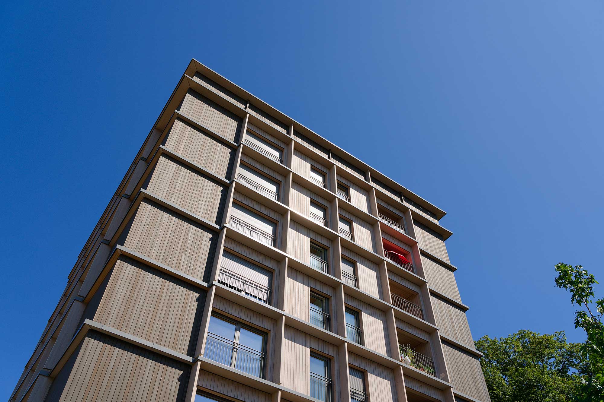 wood_special_oil-Kies-Lehm-Leuchtturmprojekt-Wohnturm-Mainz-Kastel-1