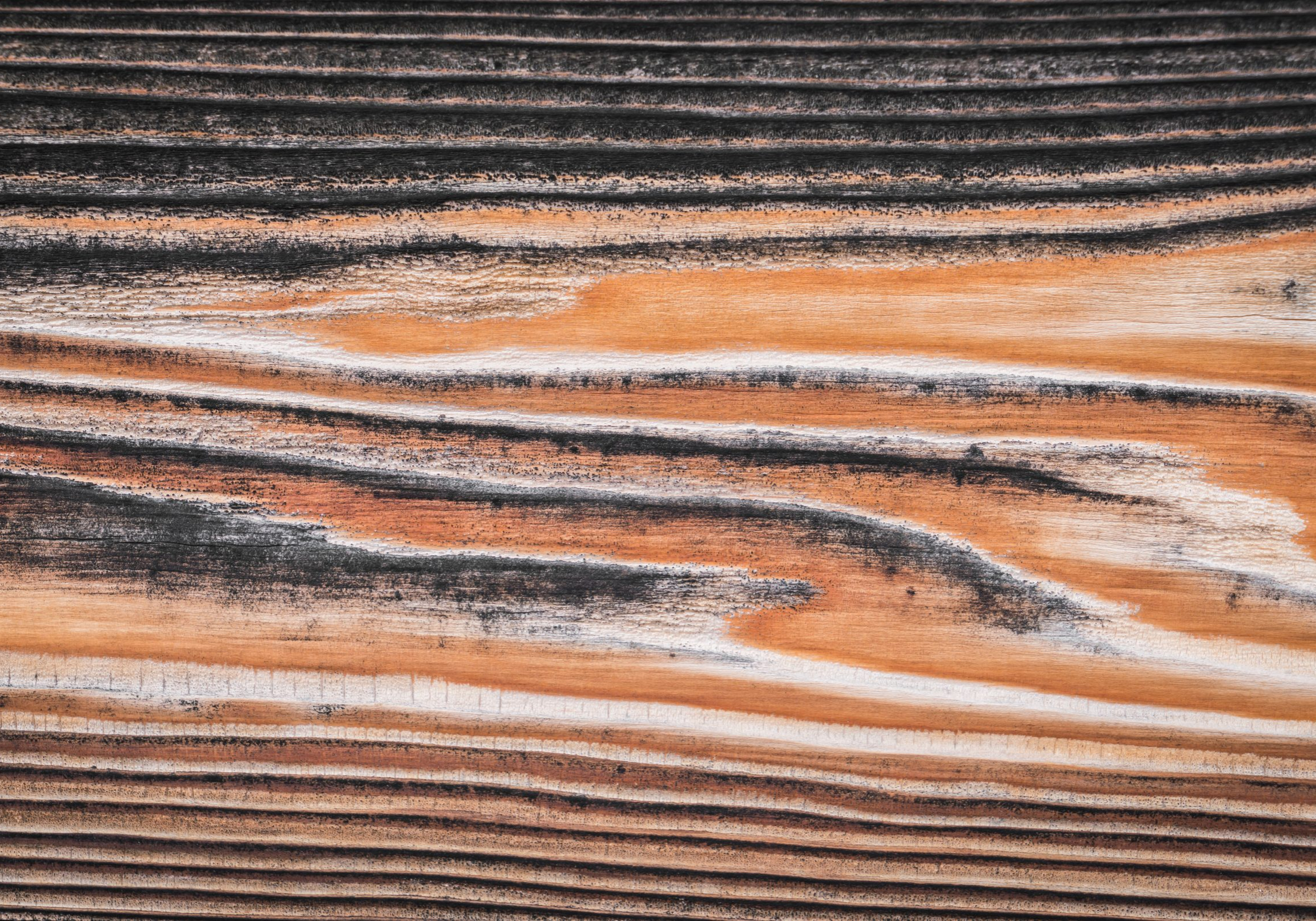 Old wood background